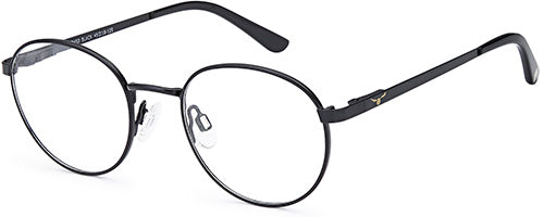 HARRY POTTER HP450